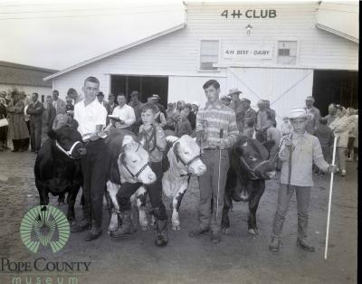 4-H Members alongside their prize beef cattle 1966