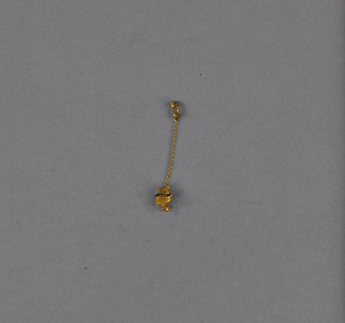 Clothing Pin