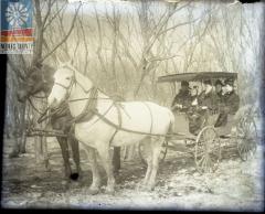 Family in Horse Drawn Buggy