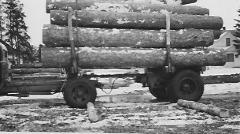 Logging - Truck with load of logs