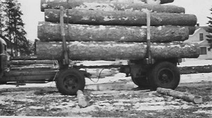 Logging - Truck with load of logs