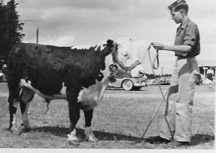 Fair-People: Leroy Larson with hereferd bull