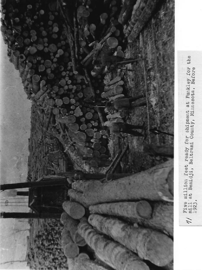 Lumber: 5 million feet of logs ready for shipment at Funkley for the mill at Bemidji. Before 1923.
