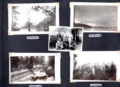 4 photos of woods scenery