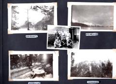 4 photos of woods scenery