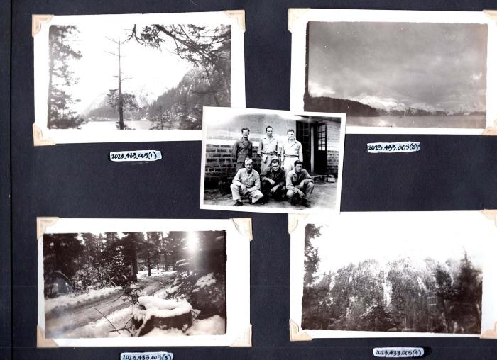 4 photos of woods scenery