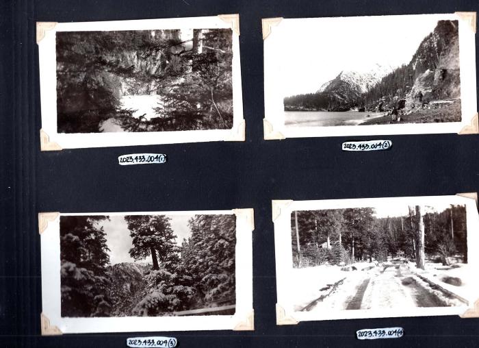4 photos of woods scenery