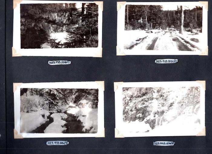 4 photos of woods scenery
