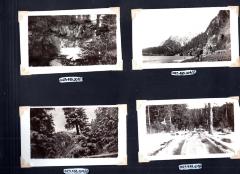 4 photos of woods scenery