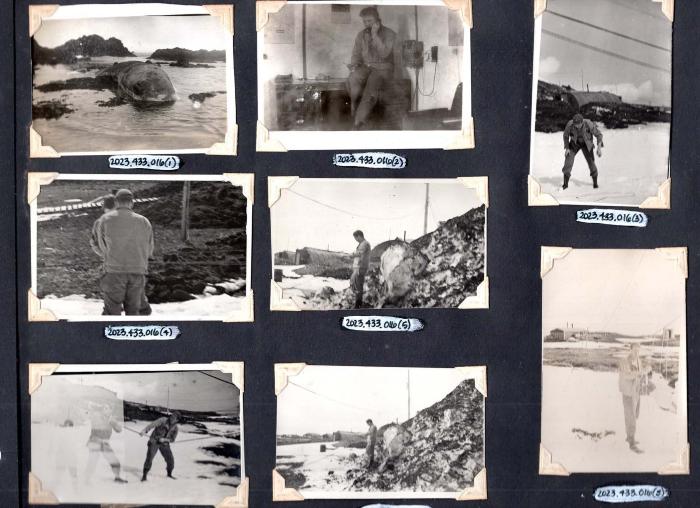 Military photos