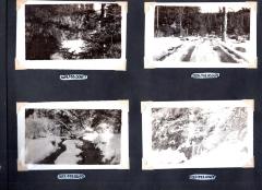4 photos of woods scenery
