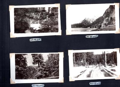 4 photos of woods scenery