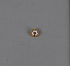 Clothing Pin