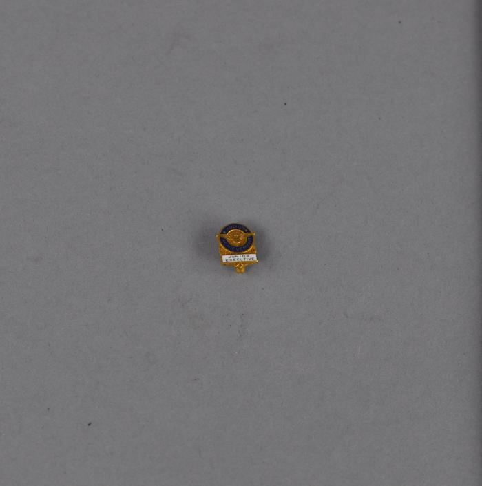 Award Pin