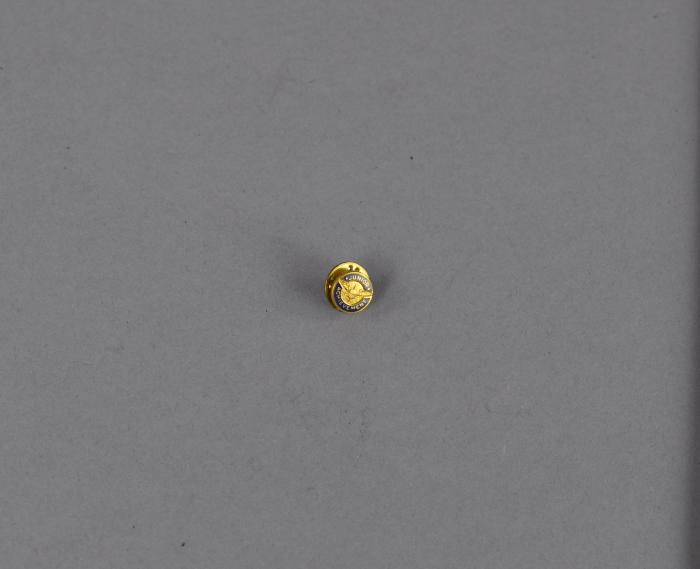 Award Pin