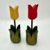 Yellow Tulip: Decoration