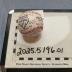 Autographed Baseball from the 2025 Legion Centennial Classic Champions