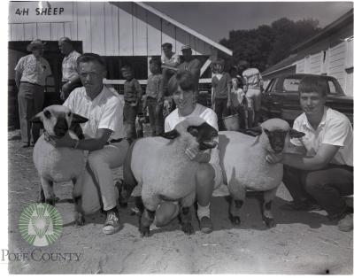 Champion Sheep showmen with prize entries 