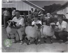 Champion Sheep showmen with prize entries 