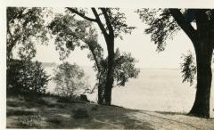 Photograph, Black-and-White