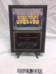 Kennedy Girls Fastpitch Program Sponsorship
