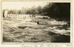 Album, Photograph