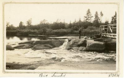 Album, Photograph
