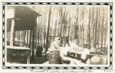 Album, Photograph