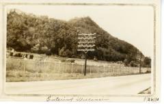Album, Photograph