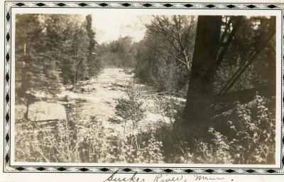 Album, Photograph