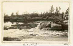 Album, Photograph