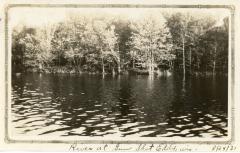 Album, Photograph