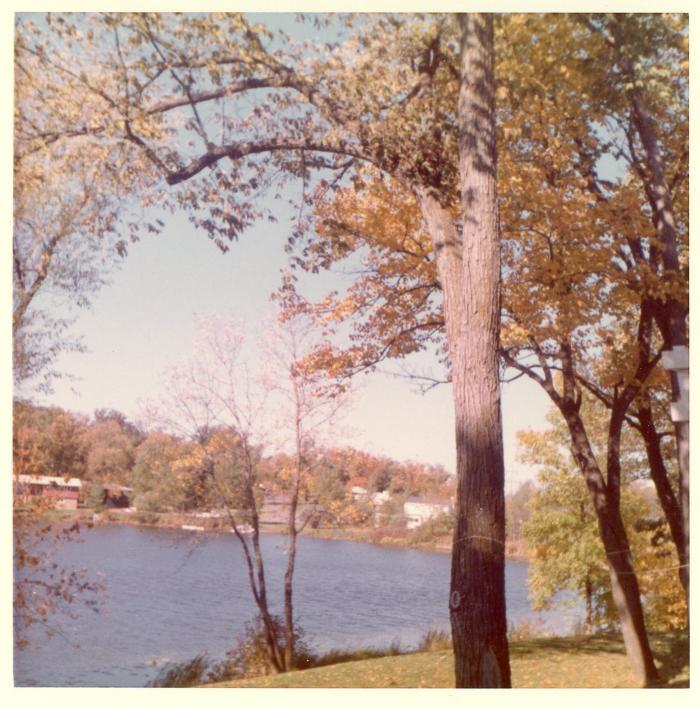 Photograph, Color