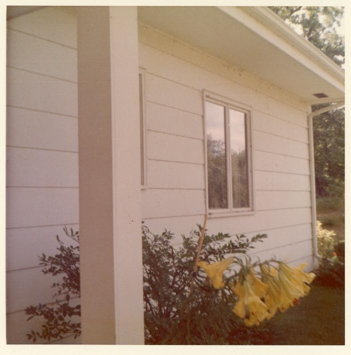 Photograph, Color