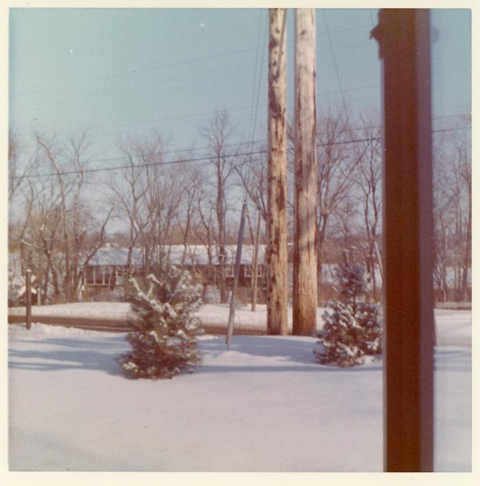 Photograph, Color