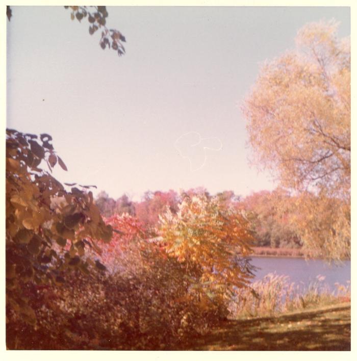 Photograph, Color