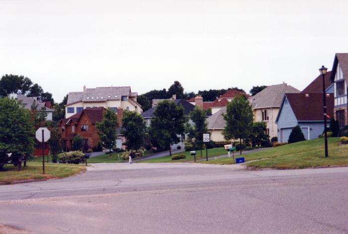 Photograph, Color