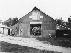 Photograph, Black-and-White