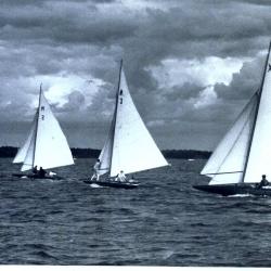Sailing Regatta