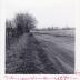 Digital Photo: Hopkins Farm 