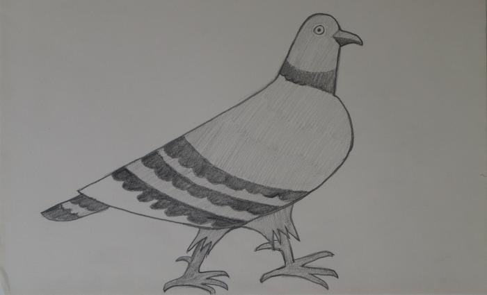 Drawing