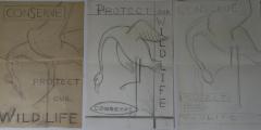 Drawing