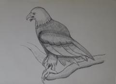 Drawing