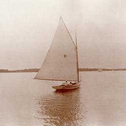 Sailboat on the lake