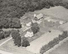 Roland Johnson farm, 1962