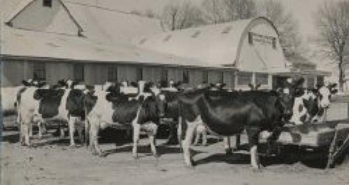 Walter Schultz Dairy Farm