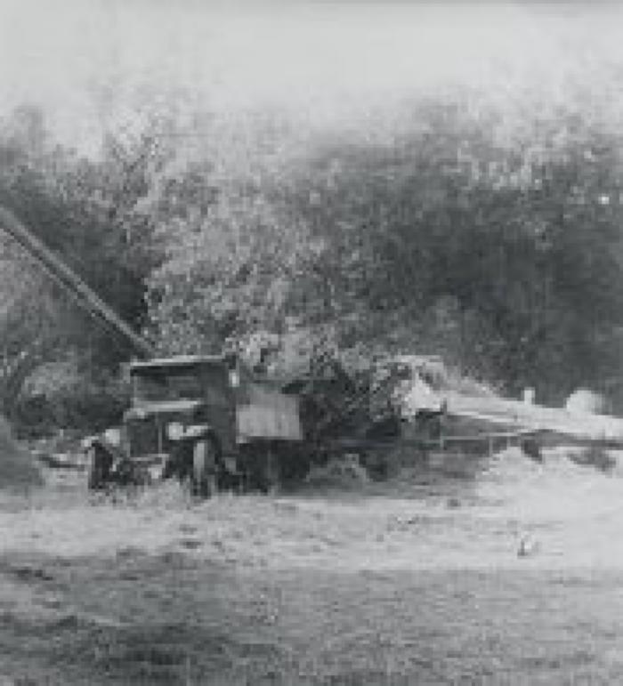 Threshing Crew Ahead of the Steam Engine and Threshing Machine - Early 1900s