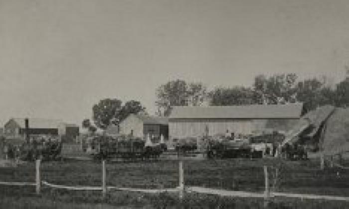 Threshing Grain