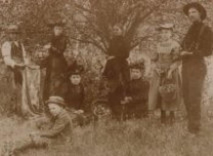 Collecting Apples