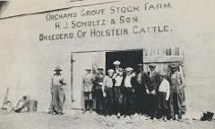 Orchard Grove Stock Farm